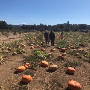 Meet your Posher, Alyna